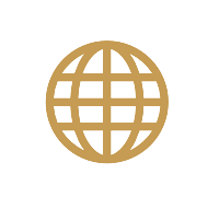 icon_international